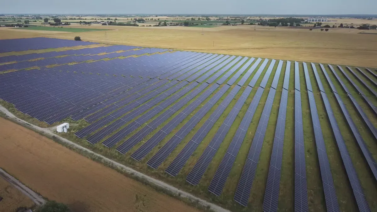 PNG Solar vs JinkoSolar vs LONGi: Solar Panel Supplier Comparison